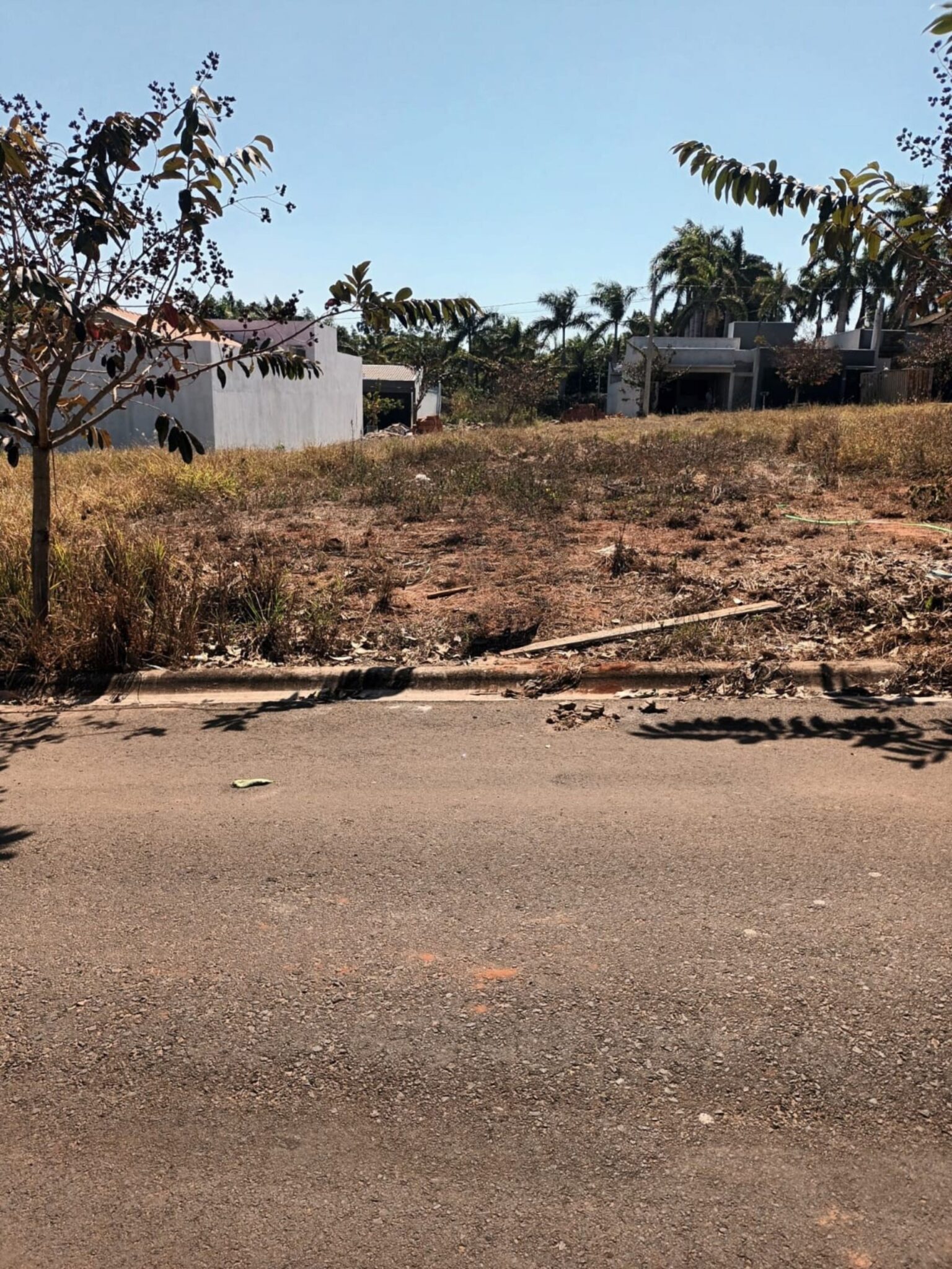 E6E9574C-21B8-4E30-9A7F-0F03DAE4BC2D